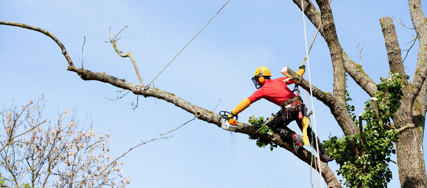 Landscaping Services