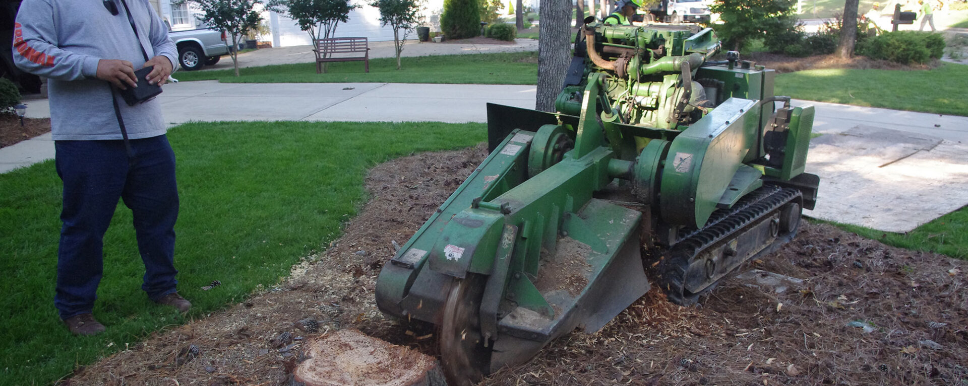 Things you should know about Complete Stump Grinding in Auckland