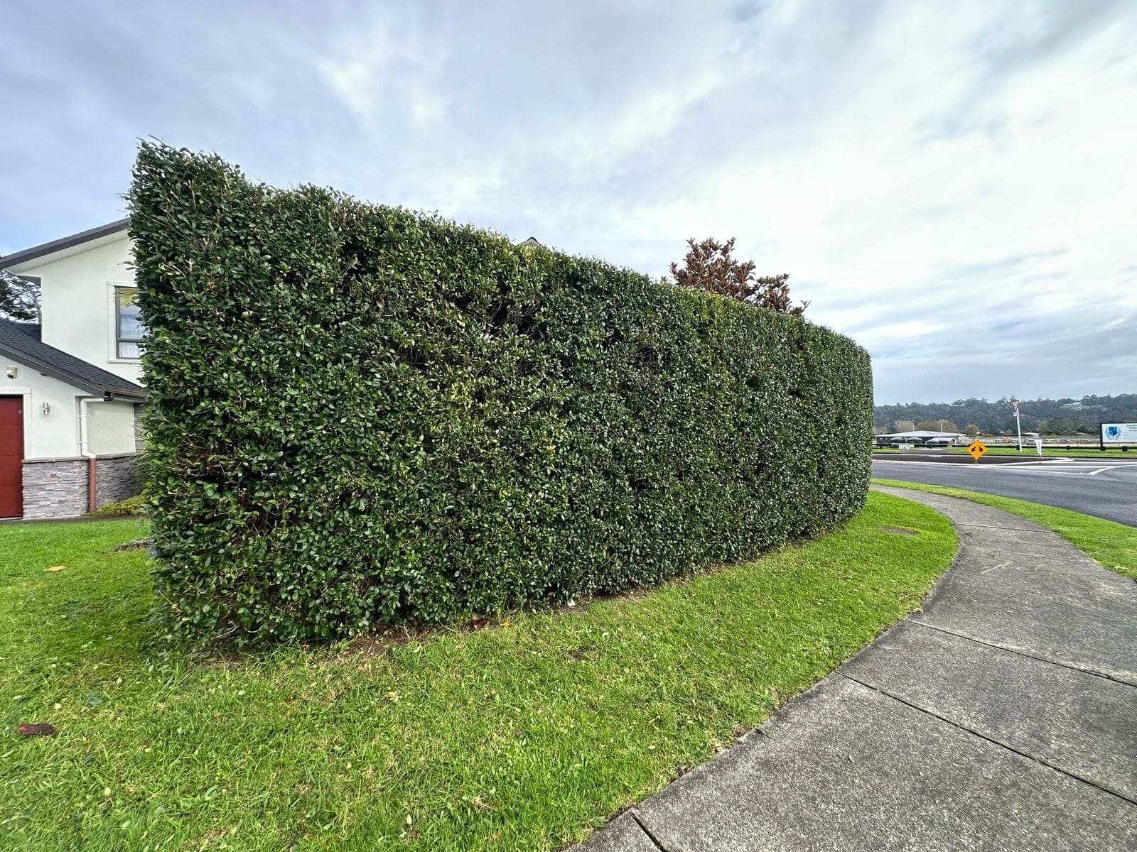 Hedge Trimming