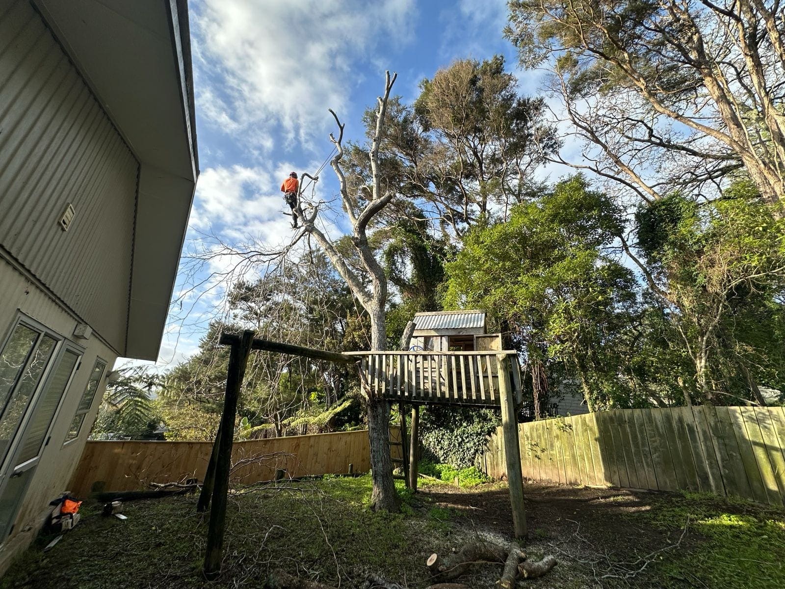 Professional Landscaping and Tree Services on Auckland's North Shore