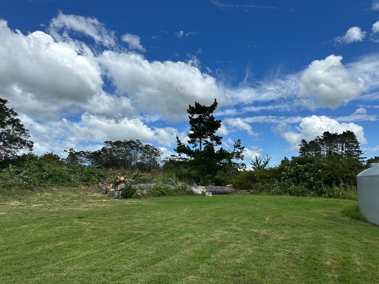 Section Clearance Services