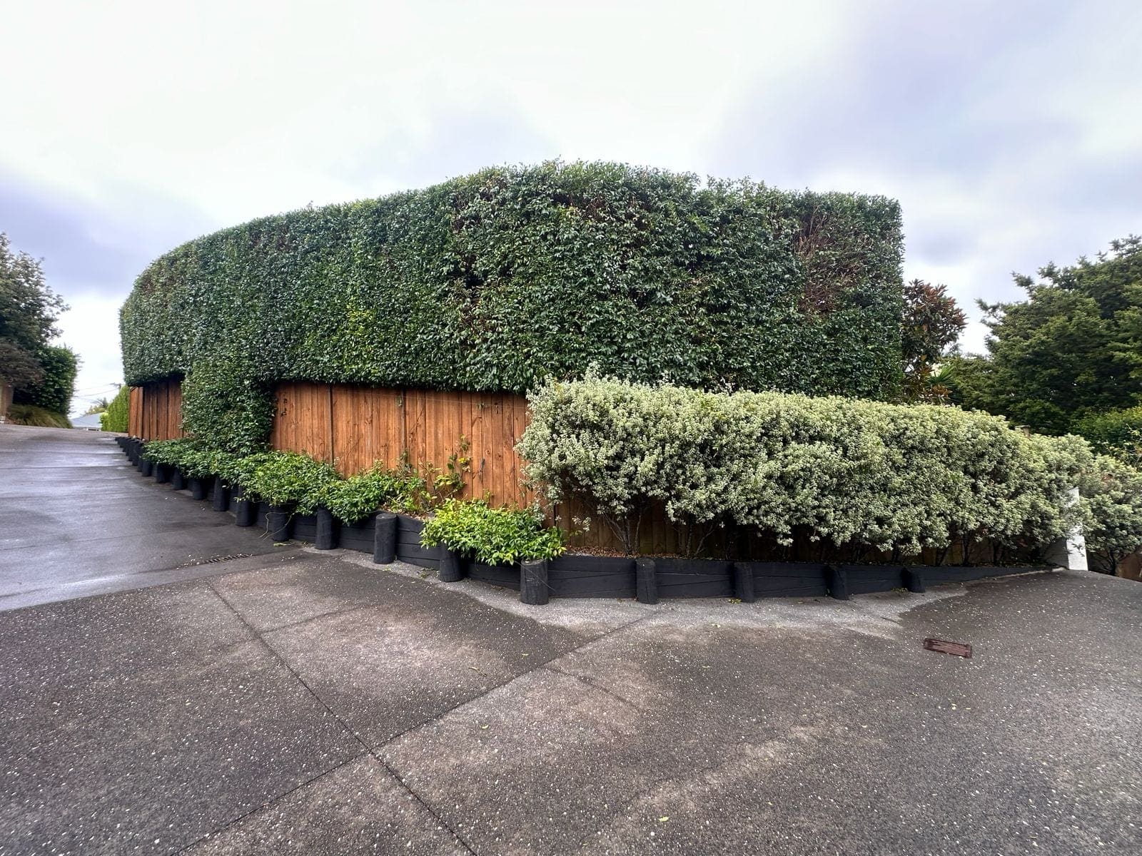 Hedge Trimming