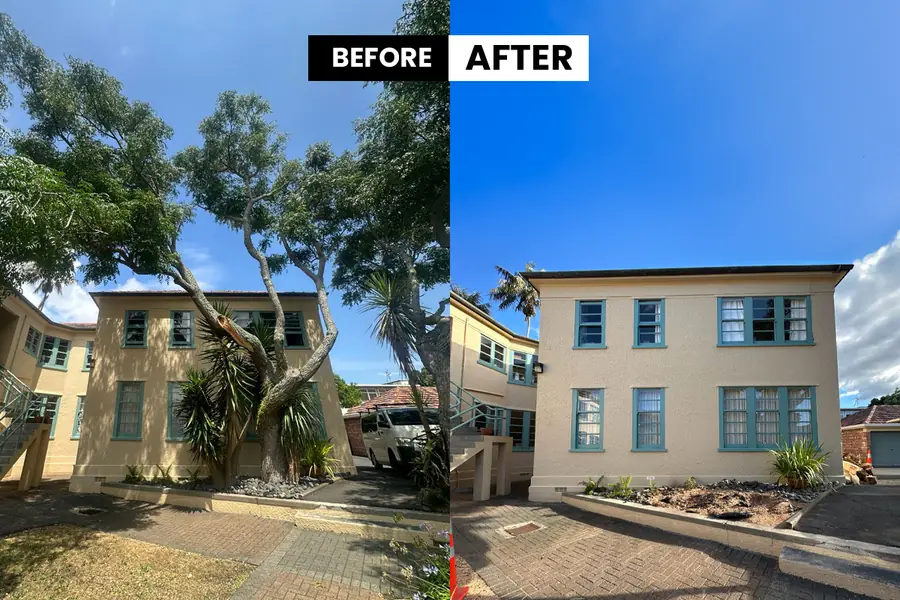 Francis - Professional Landscape Gardener on Auckland's North Shore