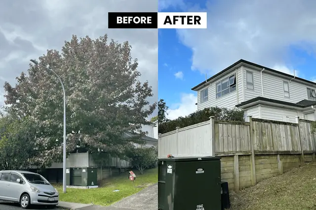 Auckland tree removal before and after