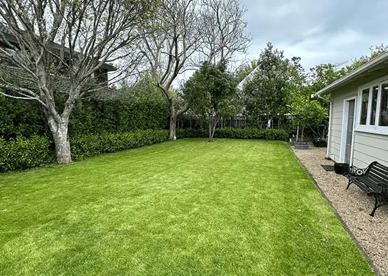 Ready Lawn Services