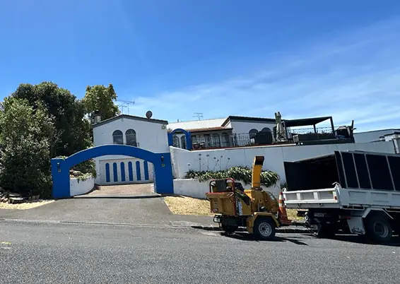 Site Clearance