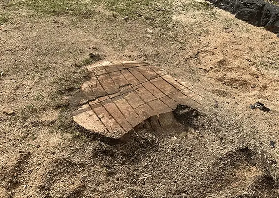 Stump Grinding