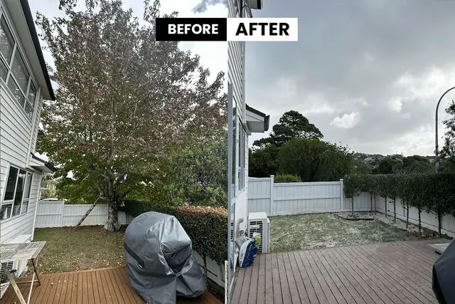Tree removal before and after - Auckland
